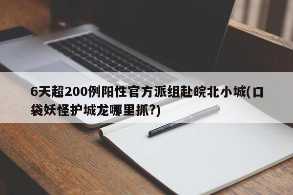 6天超200例阳性官方派组赴皖北小城(口袋妖怪护城龙哪里抓?)