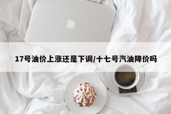 17号油价上涨还是下调/十七号汽油降价吗