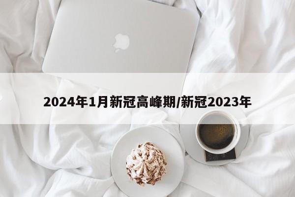 2024年1月新冠高峰期/新冠2023年