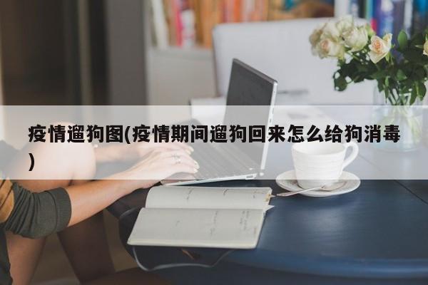 疫情遛狗图(疫情期间遛狗回来怎么给狗消毒)