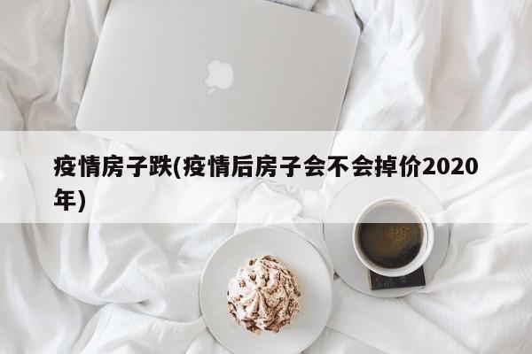 疫情房子跌(疫情后房子会不会掉价2020年)
