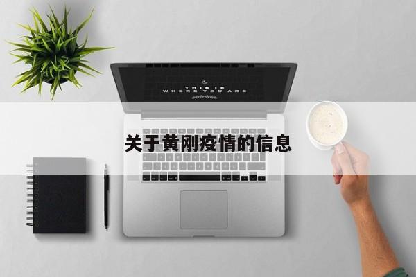 关于黄刚疫情的信息
