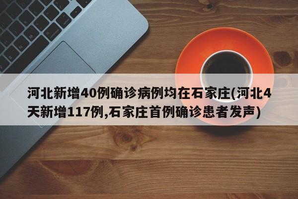 河北新增40例确诊病例均在石家庄(河北4天新增117例,石家庄首例确诊患者发声)