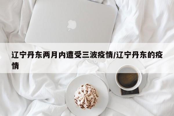 辽宁丹东两月内遭受三波疫情/辽宁丹东的疫情