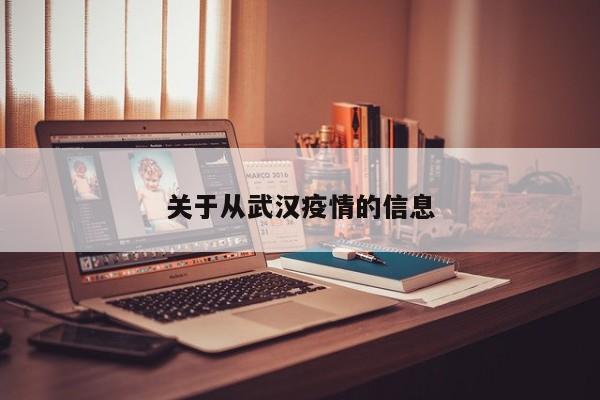 关于从武汉疫情的信息