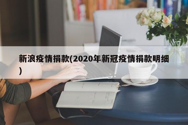 新浪疫情捐款(2020年新冠疫情捐款明细)