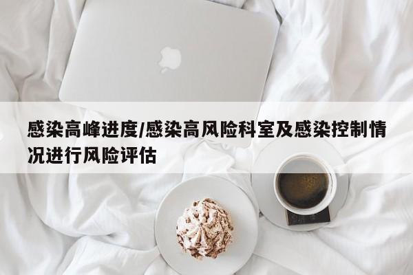 感染高峰进度/感染高风险科室及感染控制情况进行风险评估